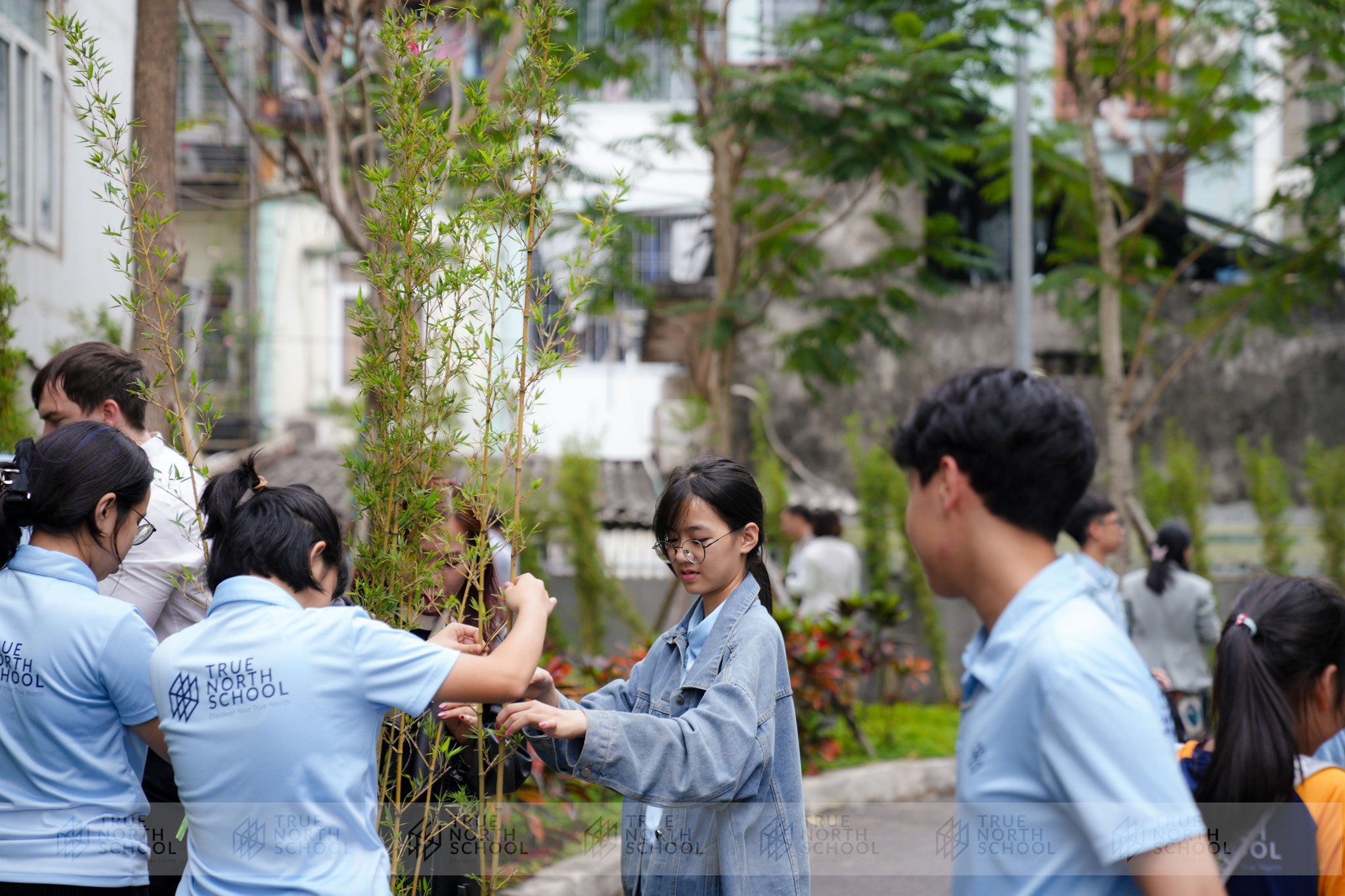 “Mùa Xuân Là Tết Trồng Cây”: Trồng 900 Cây Xanh